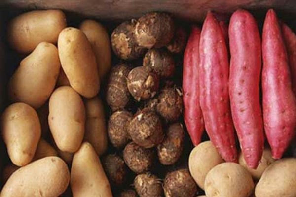 Thực phẩm tăng cân hiệu quả cho người gầy