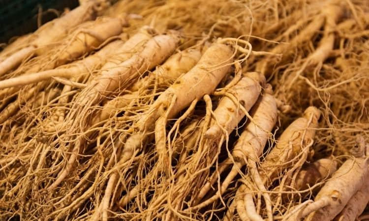 13 loại thảo mộc giúp giảm cân nhanh chóng và an toàn