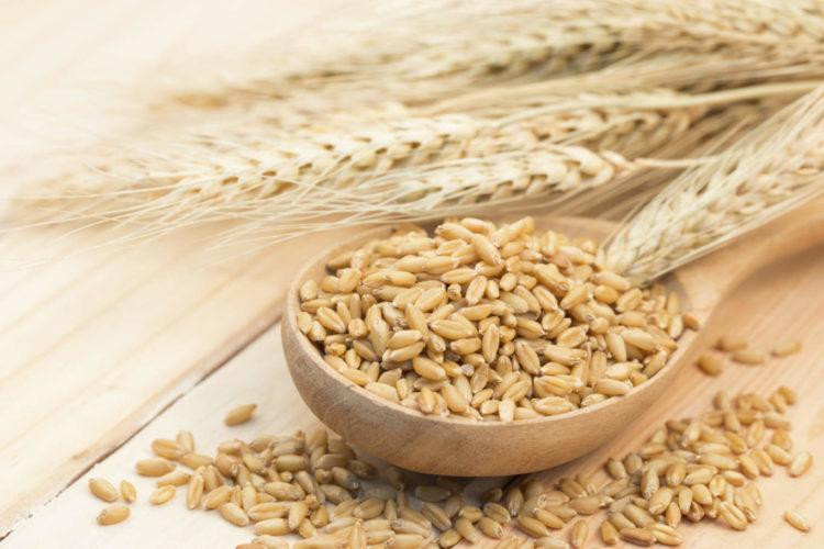 8 loại hạt giúp giảm cân bạn nên ăn