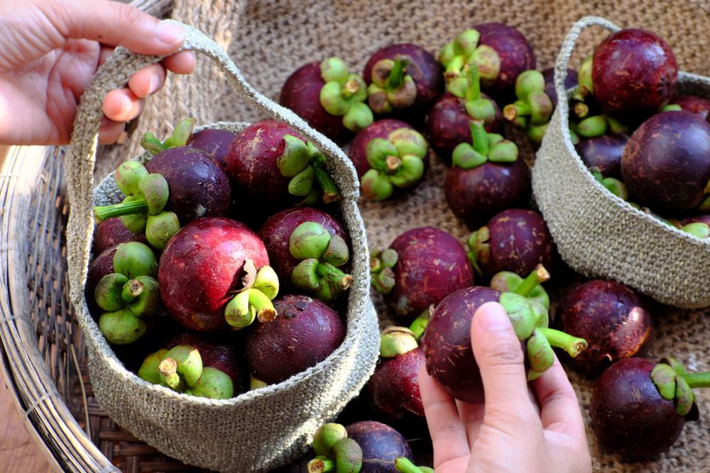Ăn măng cụt có béo không? Cách ăn măng cụt giảm cân