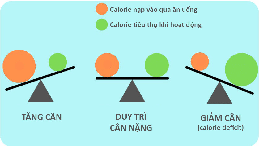 Thâm hụt calo là gì