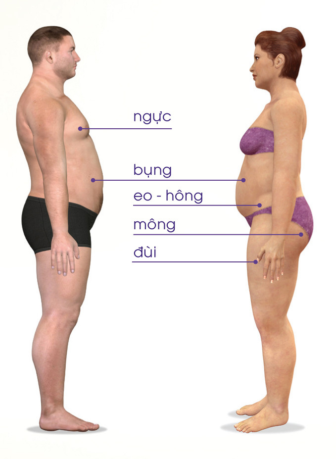 Ăn thực phẩm giảm mỡ bụng, giảm mỡ đùi: chỉ là ảo tưởng!