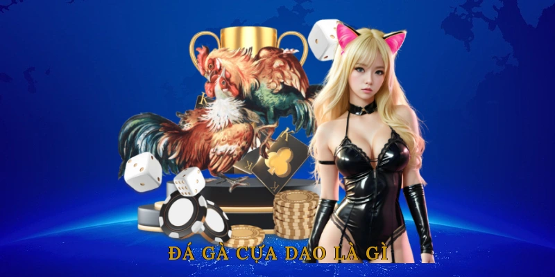 Đá gà cựa dao