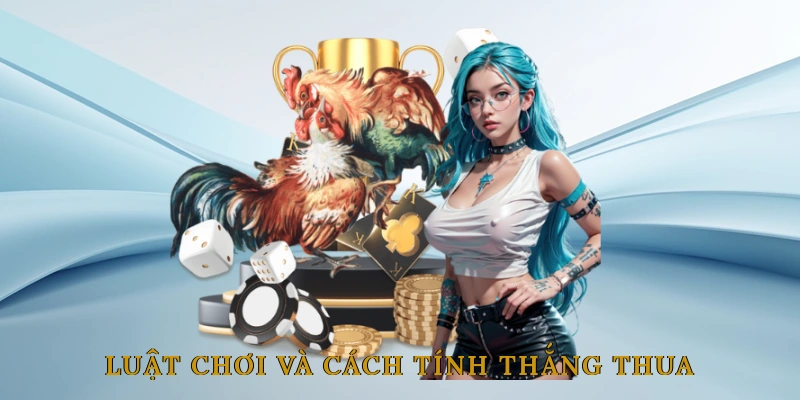 Đá gà cựa dao